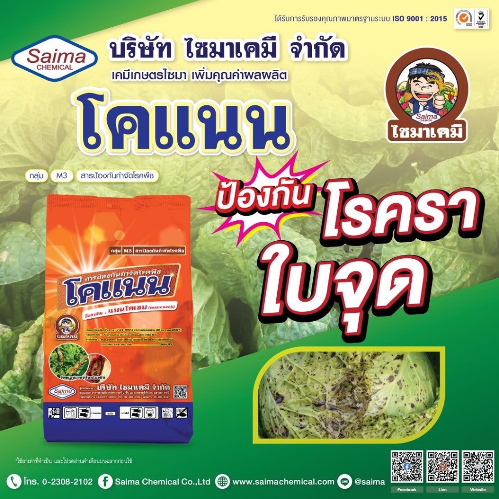 โคแนน เชื้อราต้นพริกแบบเฉียบขาด กำจัดราน้ำค้าง ราสนิม ออกฤทธิ์แบบสัมผัส 14 วันปลอดภัยเก็บเกี่ยวได้ (แมนโคเซบ)