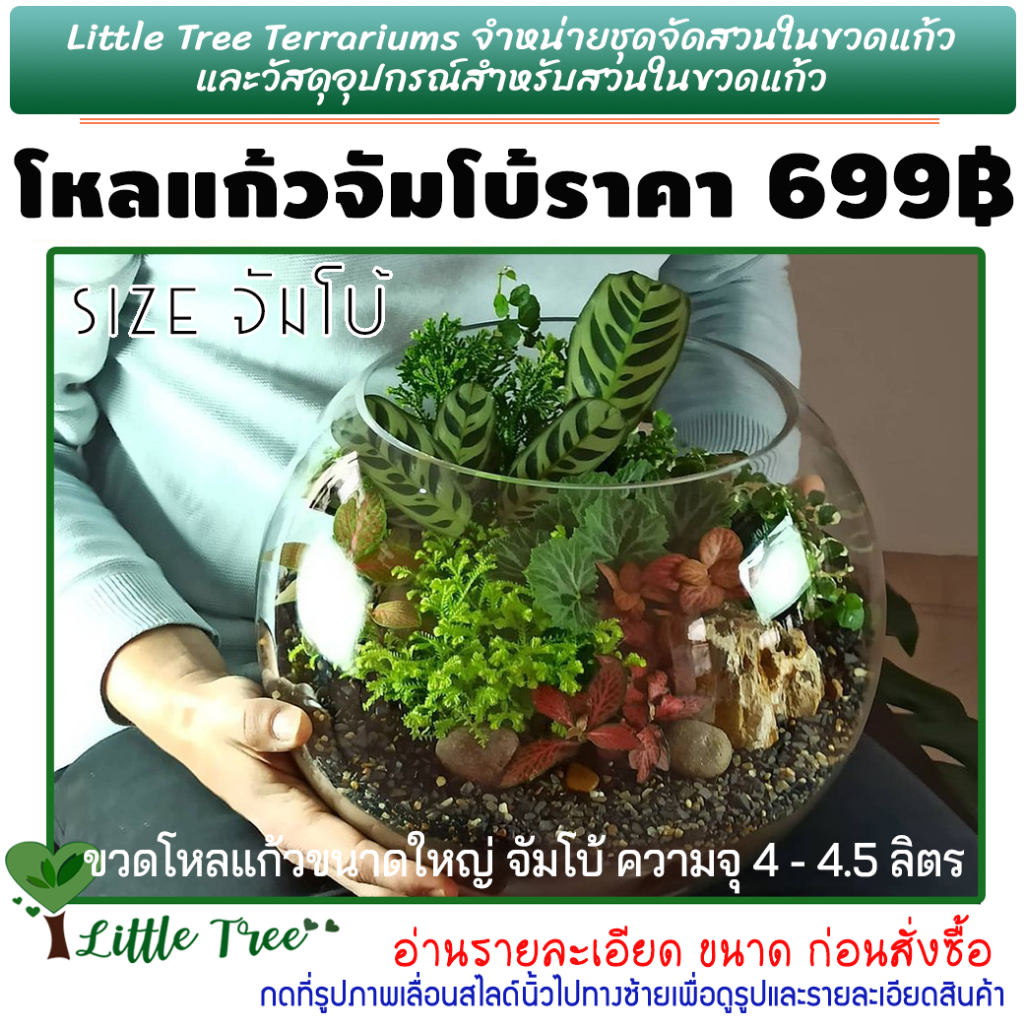 โหลแก้ว ทรงอ่างเลี้ยงปลา โหลบอนลูนขนาดใหญ่จัมโบ้ 9 นิ้ว ราคา 699 บาท