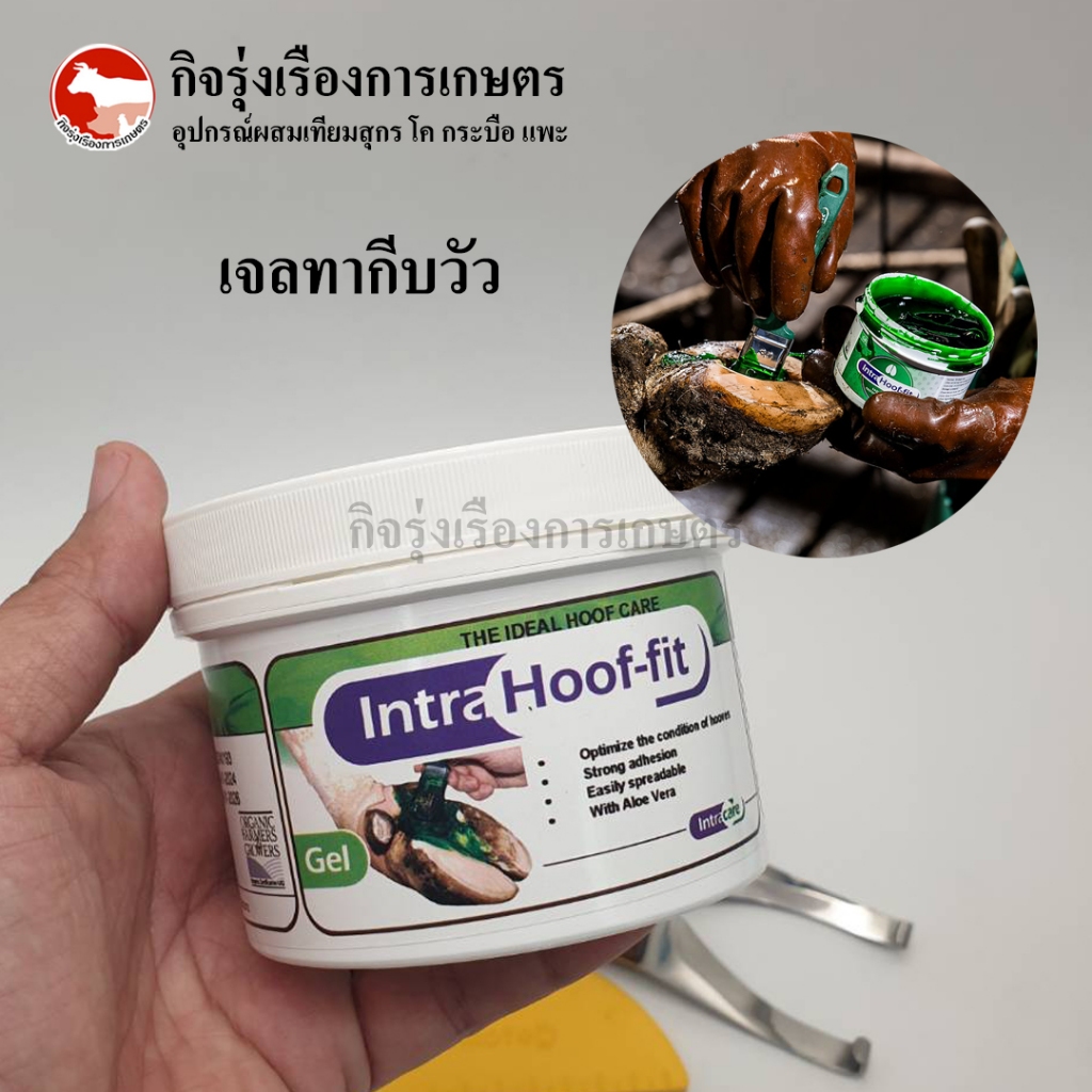 เจลทากีบ สำหรับรักษากีบโค  หลังจากการแต่งกีบ ขนาด 450g