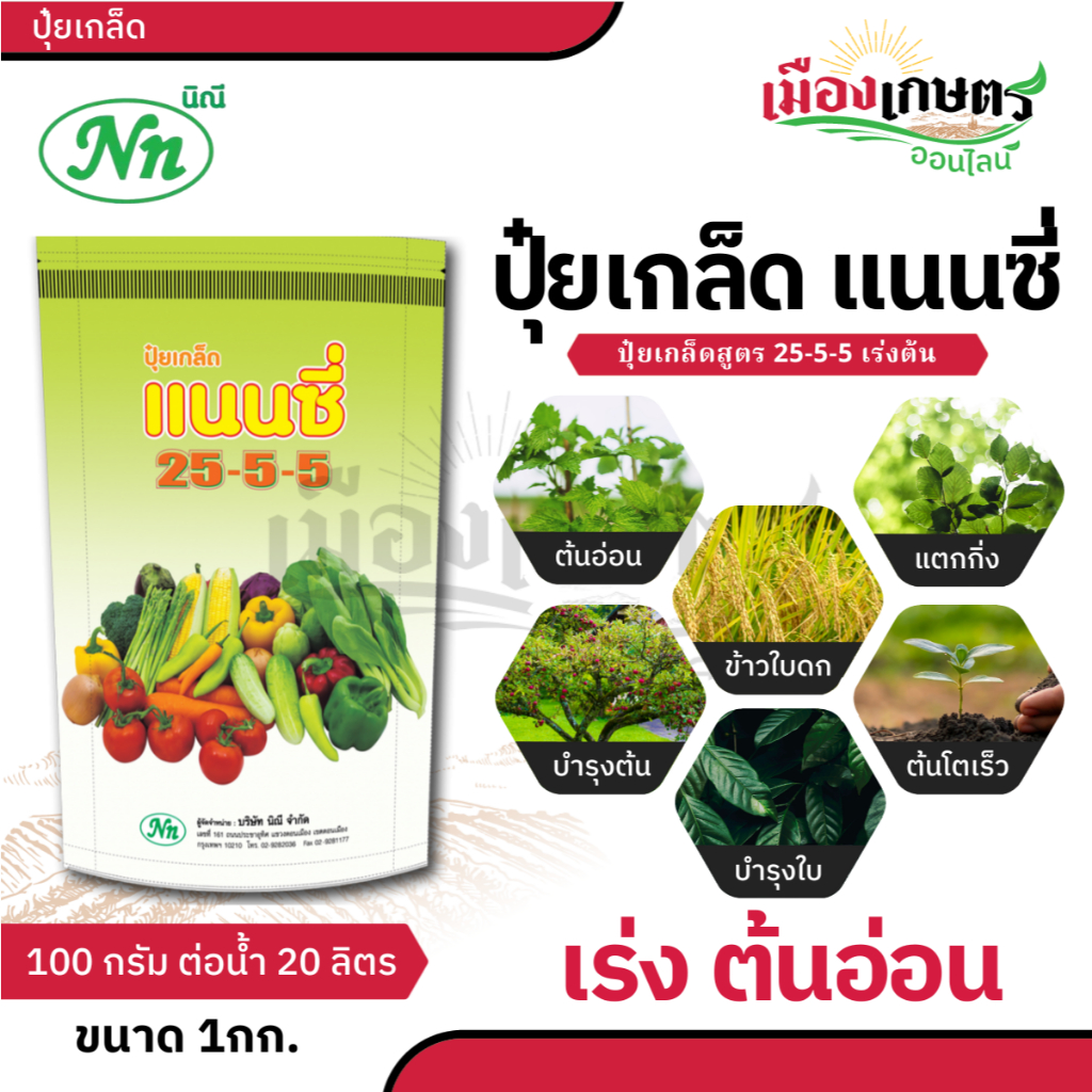 แนนซี่ 25-5-5 1กิโลกรัม (ปุ๋ยเกล็ดผง) เร่งงาม ยืดยอด แตกแขนง