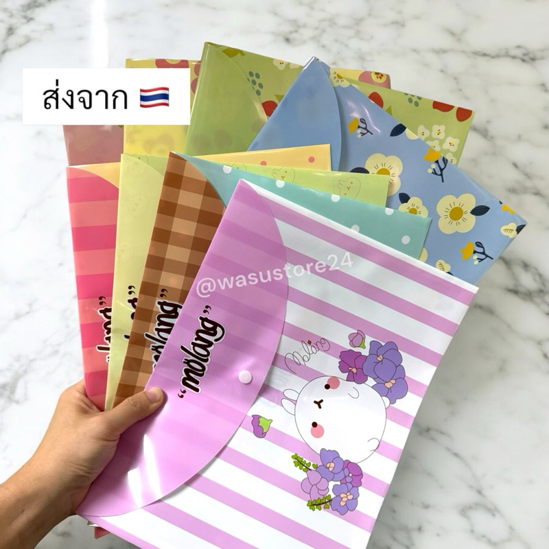 🔥พร้อมส่ง ใน 🇹🇭🔥 wasu.store24 WS038 แฟ้มใส่เอกสาร A4 แฟ้มลายการ์ตูน ลายน่ารัก พลาสติก