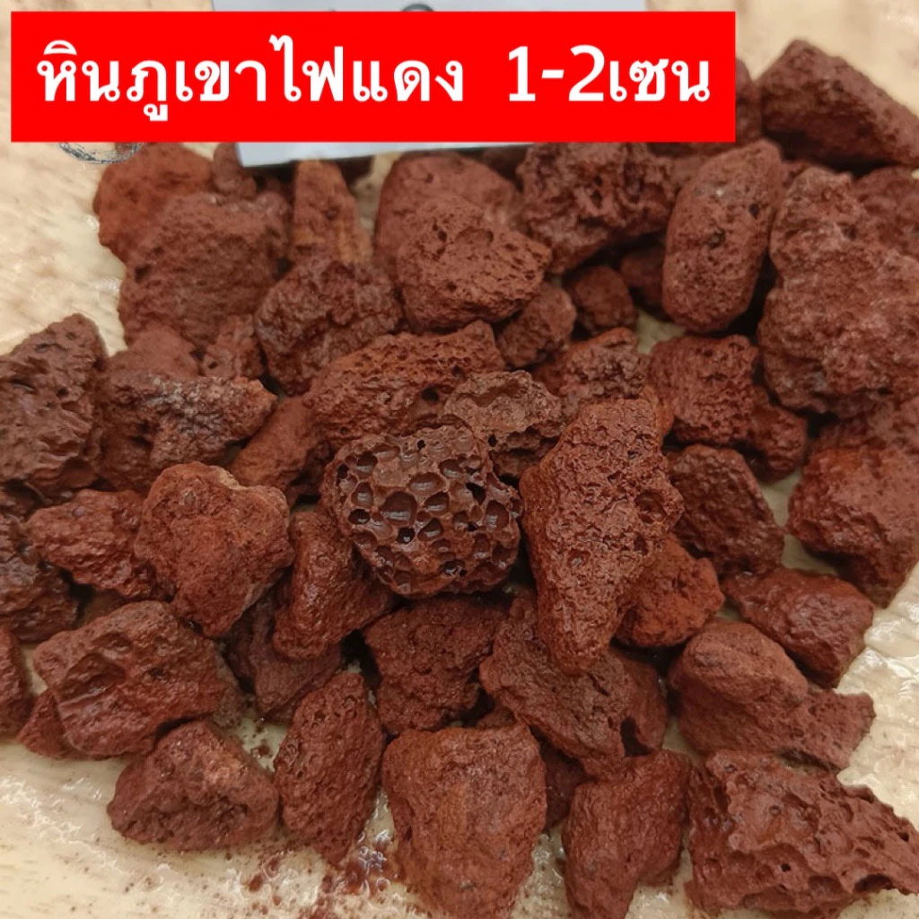 หินภูเขาไฟลาวา หินลาวาดำ โปร หินลาวาแดง (Lava Stone) | ผสมดินปลูก โรยหน้ากระถาง ใส่บ่อปลา thumbnail 3