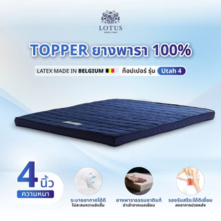 LOTUS ที่นอนยางพาราสีน้ำเงินกรมท่า บรรเทาอาการปวดหลัง Latex Made In Belgium ส่งฟรี