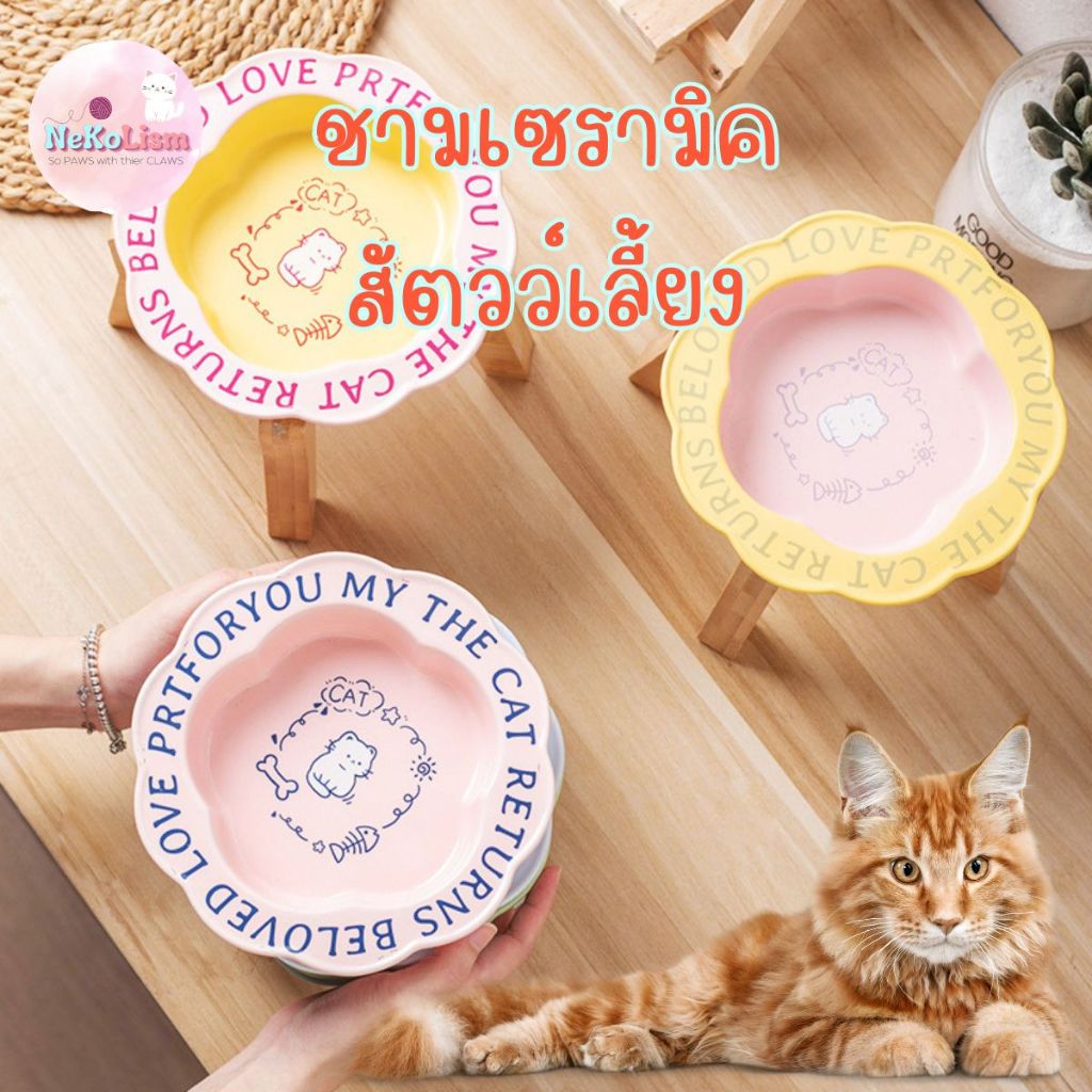 ชามเซรามิค Belove ชามแมว จานอาหารแมว เซรามิก ที่ให้อาหาร ฐานขายแยก Bowl