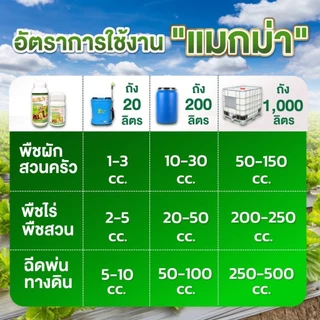 📌 ส่งฟรี 📌 แมกม่าลาวา แมกม่า สารจับใบ ต้านเพลี้ยลดการหลุดร่วง + ปุ๋ยนำ้ลาวา เร่งฟื้นฟูต้น เพิ่มปริมาณผลผลิต