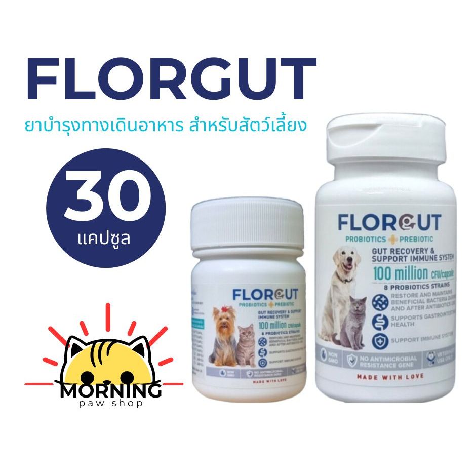 Florgut (ฟอร์กัท) 1กระปุก 30 เม็ด อาหารเสริม พรีไบโอติก โพรไบโอติก ปรับสมดุลลำไส้ ลดปัญหาท้องเสีย หมา สุนัขและแมว