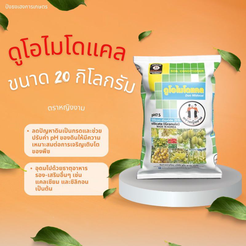ดูโอไมโดแคล 20 กิโลกรัม ตราหญิงงาม แคลเซียม แมกนีเซียม ซิลิก้า ธาตุอาหารทางดิน ลดปัญหาดินเป็นกรด
