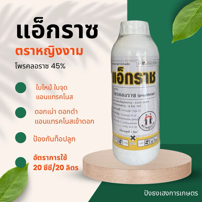 แอ็กราช  1 ลิตร ตราหญิงงาม แก้ปัญหาโรคใบไหม้ ใบจุด ดอกเน่าดำ ผลเน่าแอนแทรคโนส