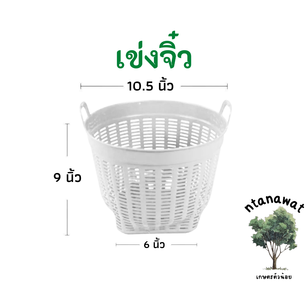 เข่งจิ๋ว (10.5นิ้ว) เข่งพลาสติก เข่งปลูกต้นไม้ ตะกร้าพลาสติก ตะกร้า - รูปที่ 2