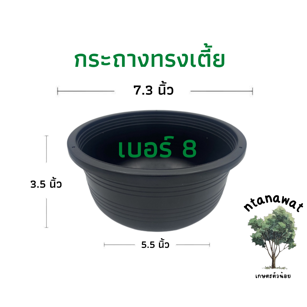 กระถางทรงเตี้ย เบอร์ 8 กระถางแขวน กระถางเพาะเมล็ด สีดำเงา