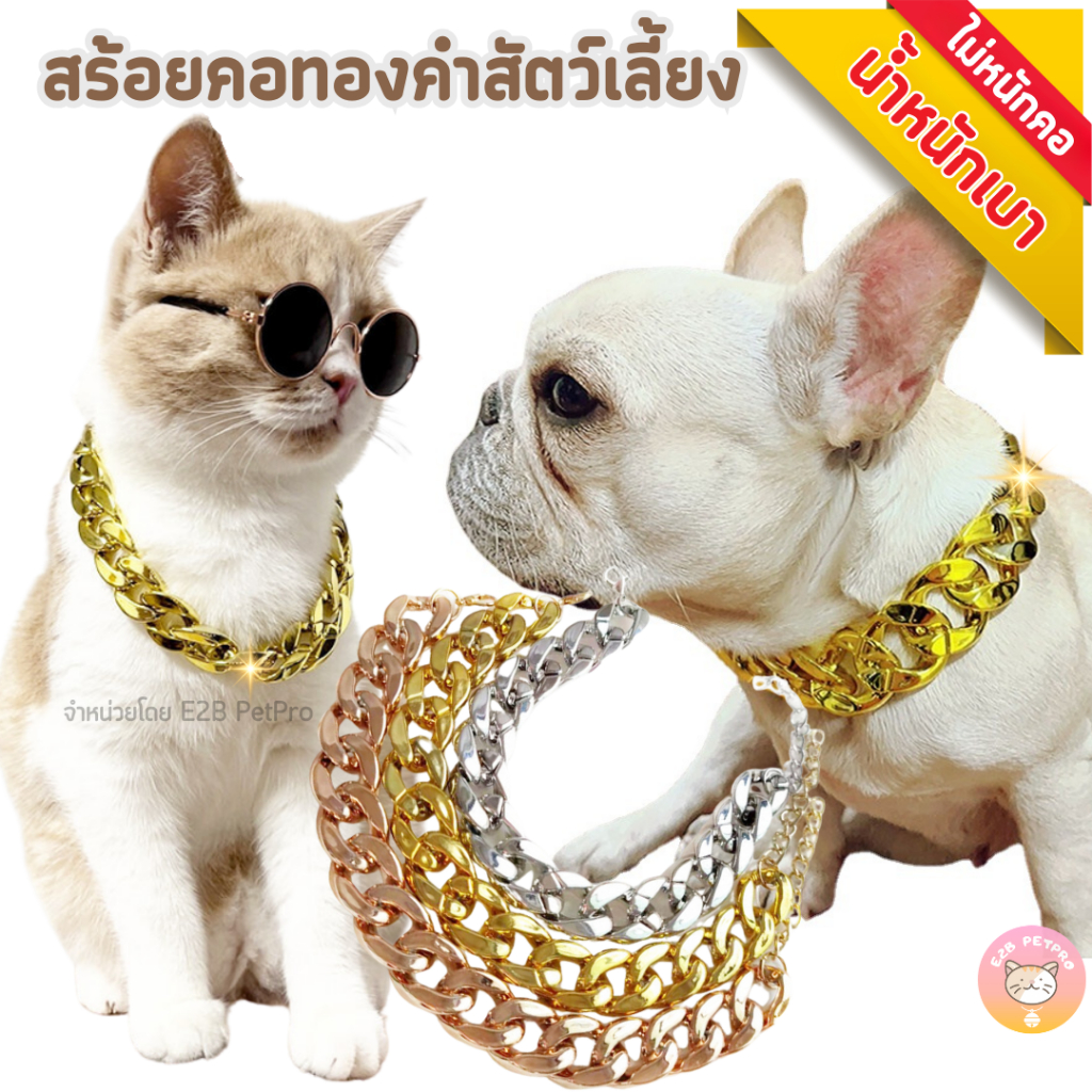 ปลอกคอโซ่ทองคำ ปลอกคอแมว ปลอกคอสุนัข น้ำหนักเบาไม่หนักคอ C049