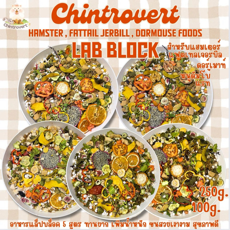 ซื้อ Chintrovert ✨| Lab Block แล็ปบล็อคอาหารแฮมเตอร์ทุกสายพันธุ์ ดอร์เมาท์ ดัมโบแรท แรท แฟตเทล