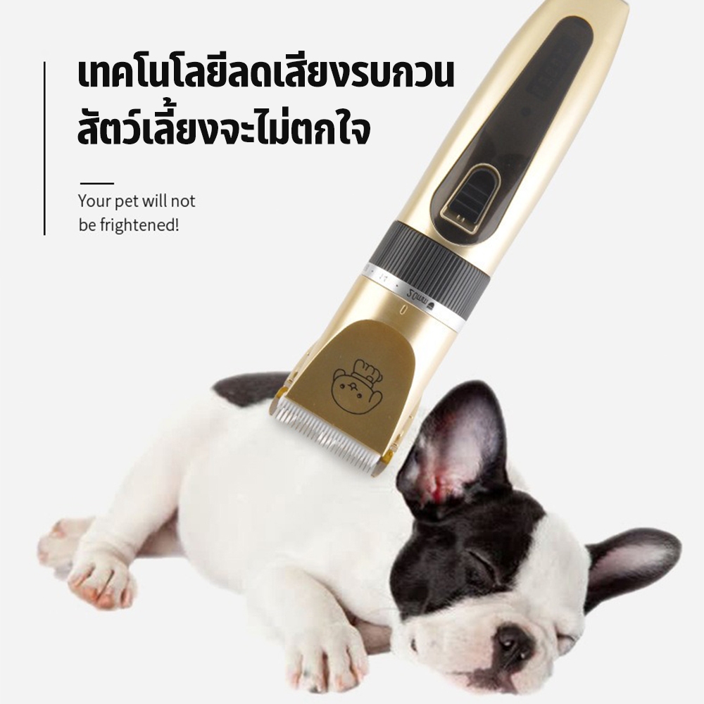 กรรไกรตัดขนสุนัข ที่ตัดขนแมว ชุดอุปกรณ์ตัดแต่งขนสุนัข ความทนทานที่ยาวนาน สะดวกสบายในมือ ไม่ทำร้ายผิวหนังสัตว์เลี้ยง