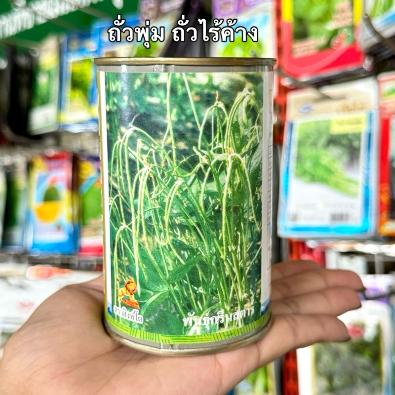 เมล็ดพันธุ์กระป๋อง เมล็ดพันธุ์ ถั่วพุ่ม ถั่วไร้ค้าง พันธุ์กรีนสตาร์ ตราสิงห์โต เมล็ดพันธุ์กระป๋อง บรรจุ100กรัม