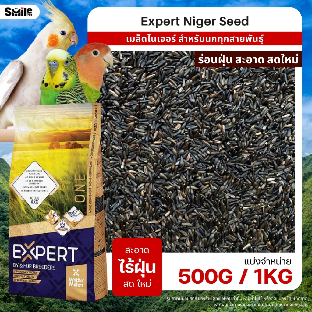 Expert Niger Seed เมล็ดไนเจอร์ อาหารนกทุกสายพันธุ์ บำรุงขน อุดมไปด้วยไขมันดี (แบ่งขาย 100G / 250G / 500G)