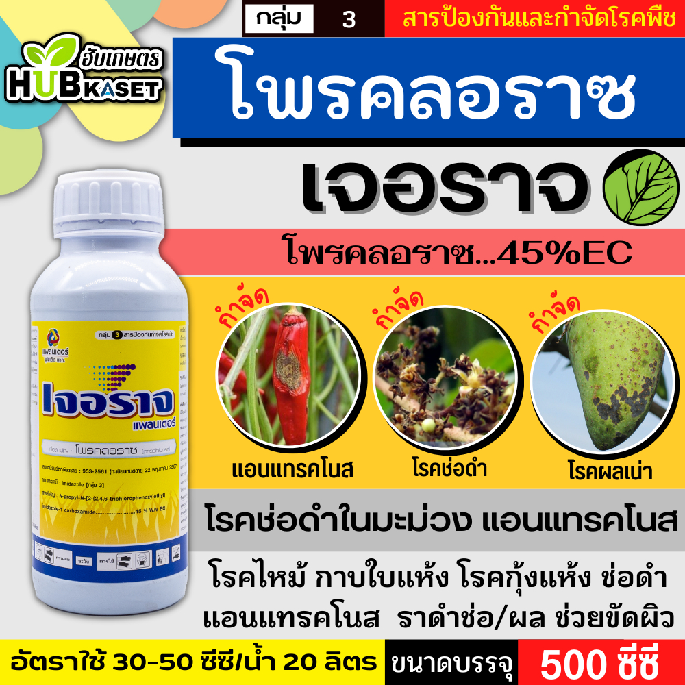 เจอราจ 500ซีซี (โพรคลอราซ) ป้องกันเชื้อรา ใบไหม้ ใบจุด ราดำช่อดำ เมล็ดด่าง แอนแทรคโนส