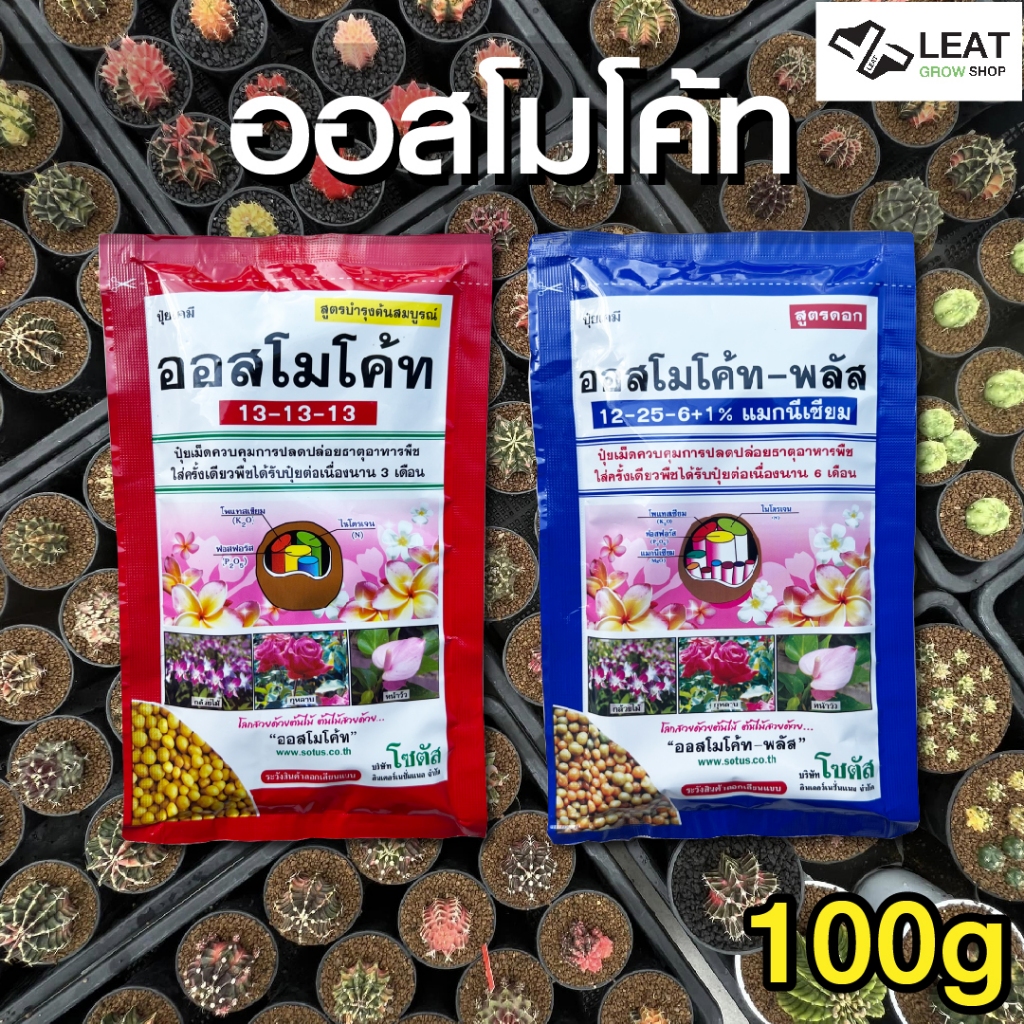 ปุ๋ยออสโมโค้ท ปุ๋ยละลายช้า สูตร3เดือน/ สูตร6เดือน สินค้าพร้อมส่ง ปุ๋ยแคคตัส (Osmocote)