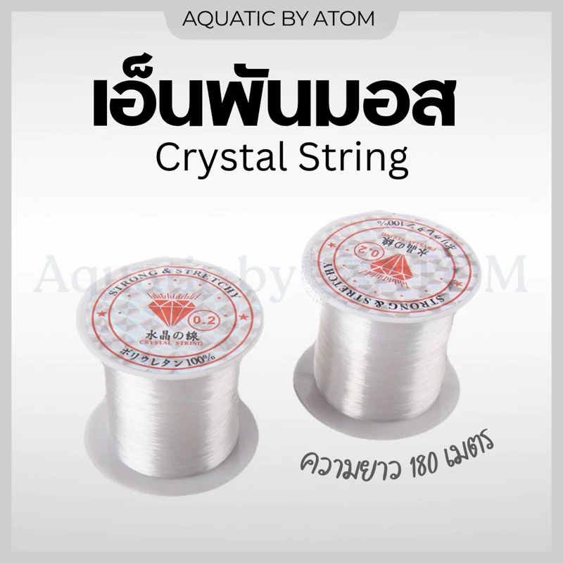 (พร้อมส่ง) เอ็นพันมอสและต้นไม้น้ำ สีใส ความยาว 180 เมตร