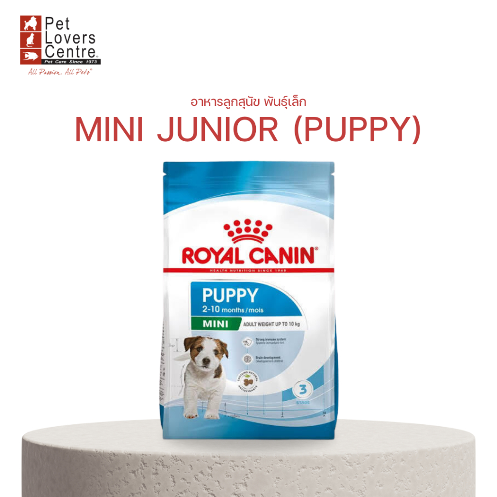 โปรแรง !! ROYAL CANIN SHN MINI JUNIOR - โรยัล คานิน MINI JUNIOR