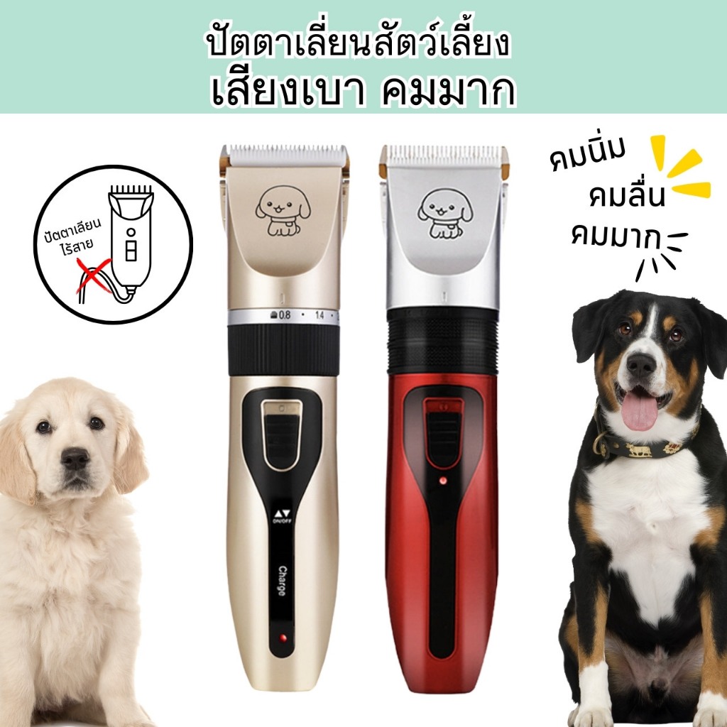 ขายดี ปัตตาเลียนสุนัข สัตว์เลี้ยง ⭐️⭐️ราคาพิเศษ⭐️⭐️