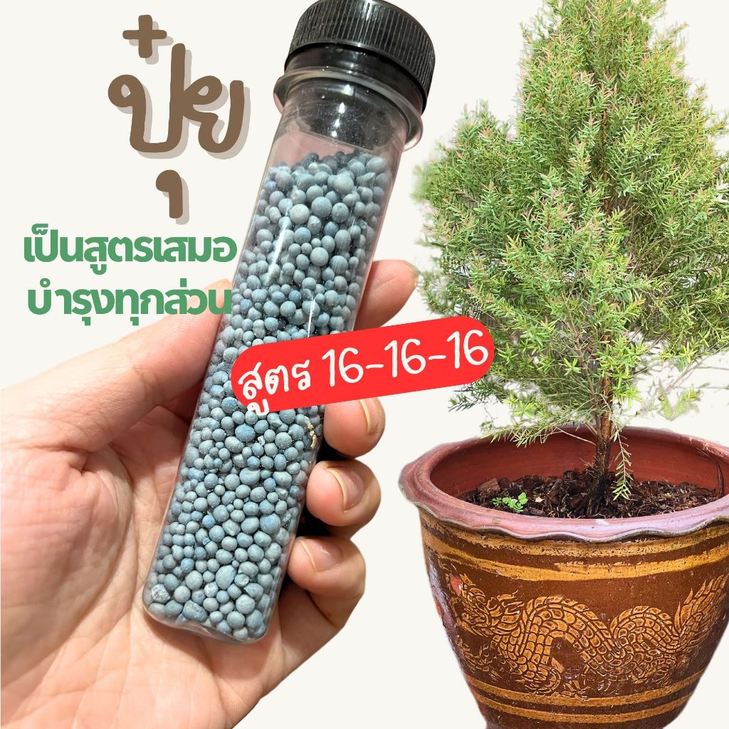 ปุ๋ย 16-16-16 สูตรเสมอ  บำรุงทุกส่วนของต้นไม้ แบ่งขาย ใส่หลอด เก็บรักษาง่าย