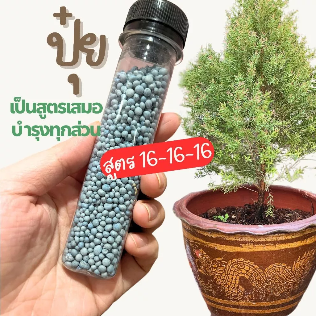 ปุ๋ย 16-16-16 สูตรเสมอ บำรุงทุกส่วนของต้นไม้ แบ่งขาย ใส่หลอด เก็บรักษาง่าย