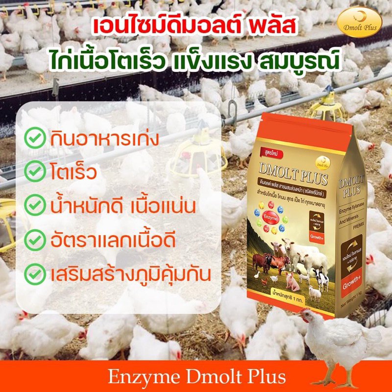 ดีมอลต์ พลัส พรีมิกซ์เสริมการเจริญเติบโตสำหรับไก่เนื้อ ช่วยให้กินอาหารเก่ง โตเร็ว ขนาด 1 กิโลกรัม