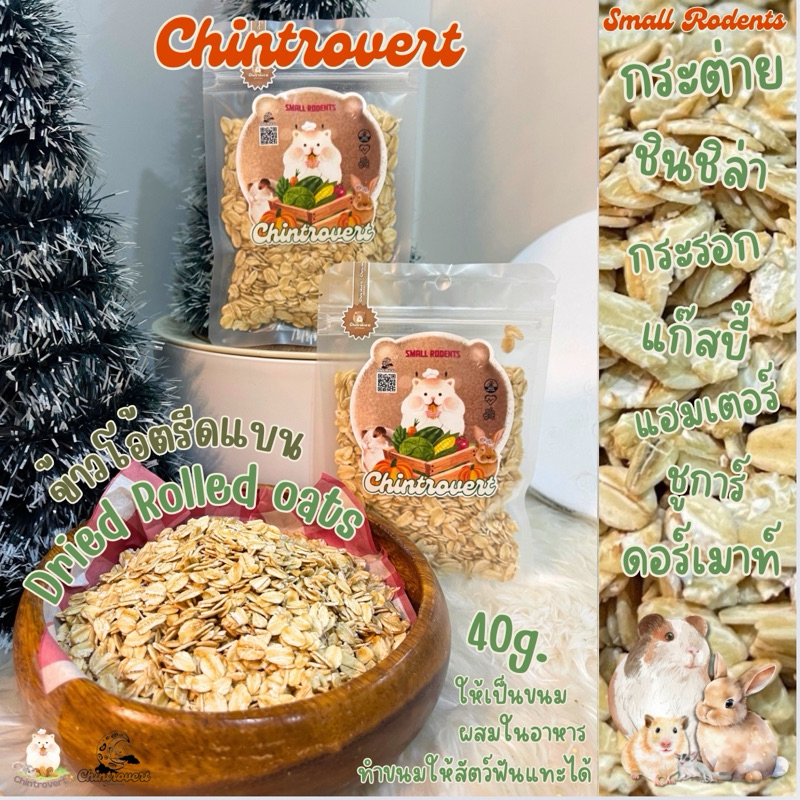 Chintrovert ✨| Dried Rolled Oats ข้าวโอ๊ตรีดแบน 40g. | ผสมอาหาร ทำเป็นขนมให้สัตว์ฟันแทะทุกชนิด