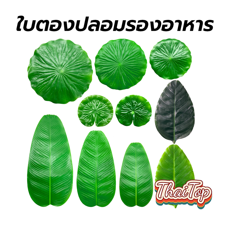 ThaiTop ใบตองปลอมรองอาหาร ใบตองเทียม ใบประดับโต๊ะ ใบสวยเหมือนจริง สีสดดีมากมาก สินค้าไม่มีกลิ่นพลาสติก OHGH