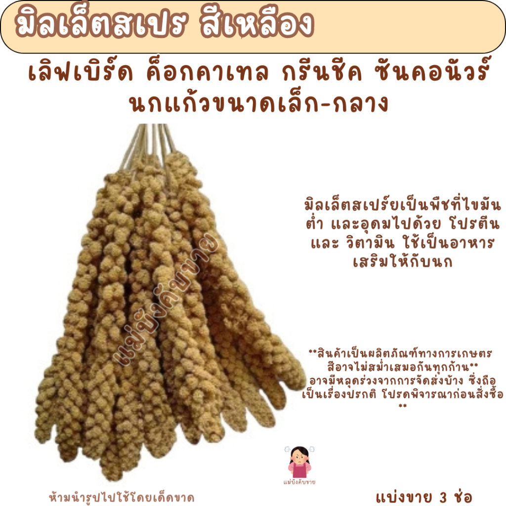 มิลเล็ตสเปร สีแดง - เหลือง (แบ่งขาย 200 G.) อาหารนกแก้ว อาหารแฮมเตอร์