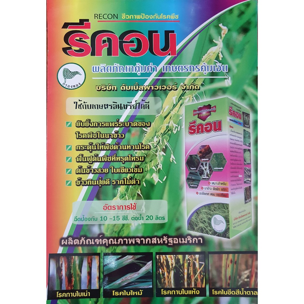 รีคอน 1ลิตร กำจัดเชื้อรา ไวรัส แบททีเรีย สารชีวภาพ โรคไหม้ โรคใบเหลือง โรคใบแดง โรคกาบใบแห้ง เน่าคอรวง ใบจุด เน่าโคน