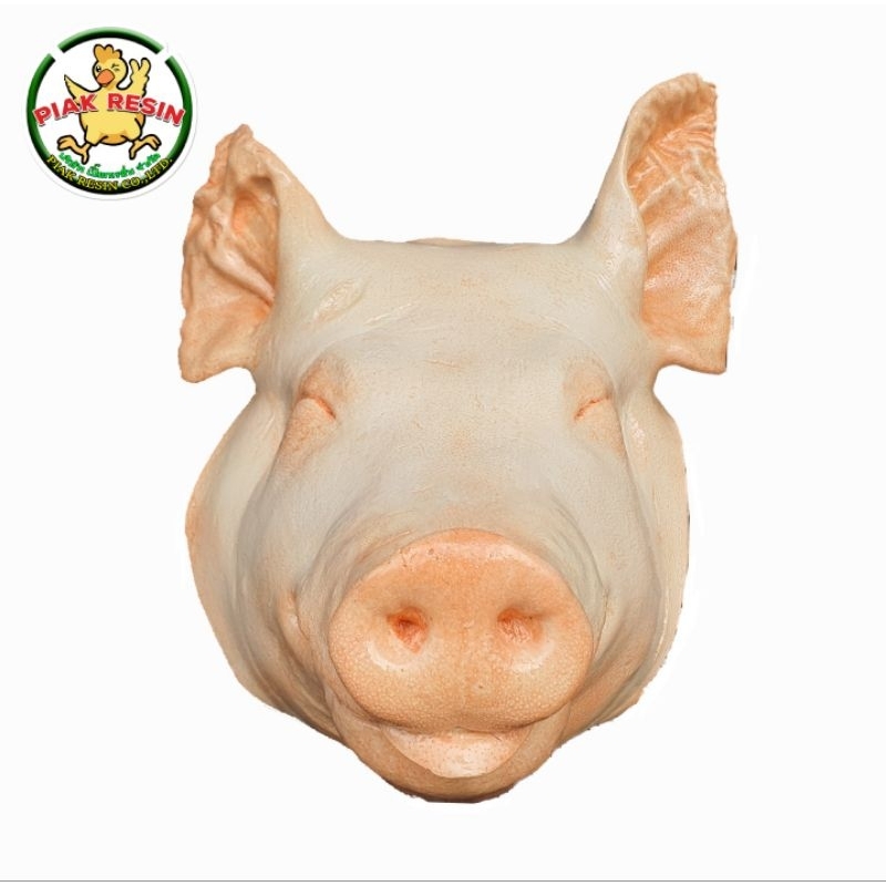 โมเดล หัวหมูสด หัวหมูพะโล้ ปลอม เนื้อเรซิ่น หัวละ 2,500 กว้าง 29 ยาว 36 หนา 26 CM หัวหมูเรซิ่น หัวหมูปลอม หัวหมูจำลอง