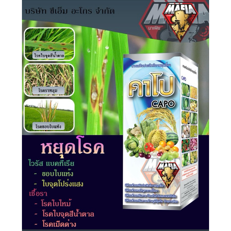 คาโป สารเสริมฤทธิ์ยากำจัดโรคพืช