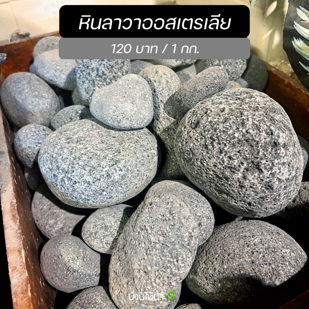 หินลาวาออสเตรเลีย หินไข่ Lava Stones ตกแต่งตู้ปลา ตู้ไม้น้ำ หินแท้ 100% (ยังไม่ล้าง) | บ้านไม้น้ำ🌿
