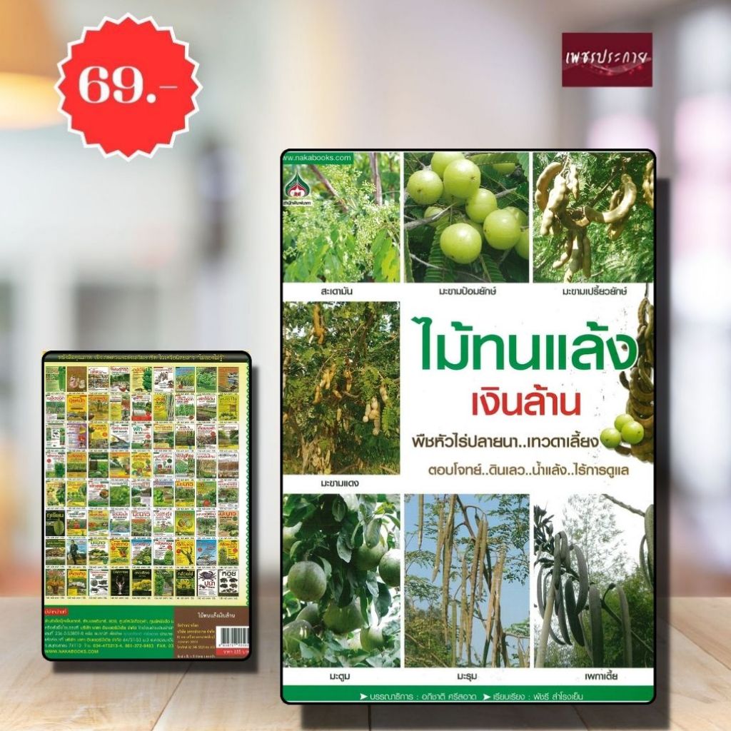 พิเศษ69 บ.(จากปกติ 155บ.) ไม้ทนแล้งเงินล้าน