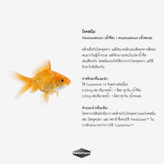 Seachem Cupramine™ สารละลายคอปเปอร์กำจัดปรสิตภายนอกในปลา เช่น จุดขาวและสนิม ปลอดภัยต่อปลาและสิ่งมีชีวิต