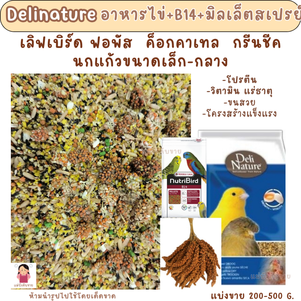 Delinature อาหารไข่ เสริมทั้งแม่และลูก (200-500G.) อาหารนก อาหารเสริมนกแก้วขนาดเล็ก-กลาง