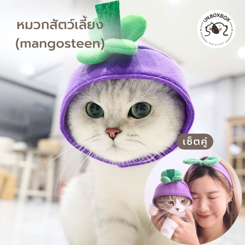 [unbox]หมวกสัตว์เลี้ยง รุ่นหัวมังคุด ชุดแมว/หมา (มีเซตคู่ที่คาดผมกับมนุดด)