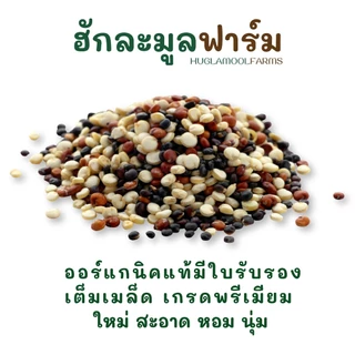 ควินัว 3สี ควินัวออร์แกนิค 240 800กรัม ของใหม่ กลิ่นหอม ไม่แข็ง ควินัวสามสี เด็ก