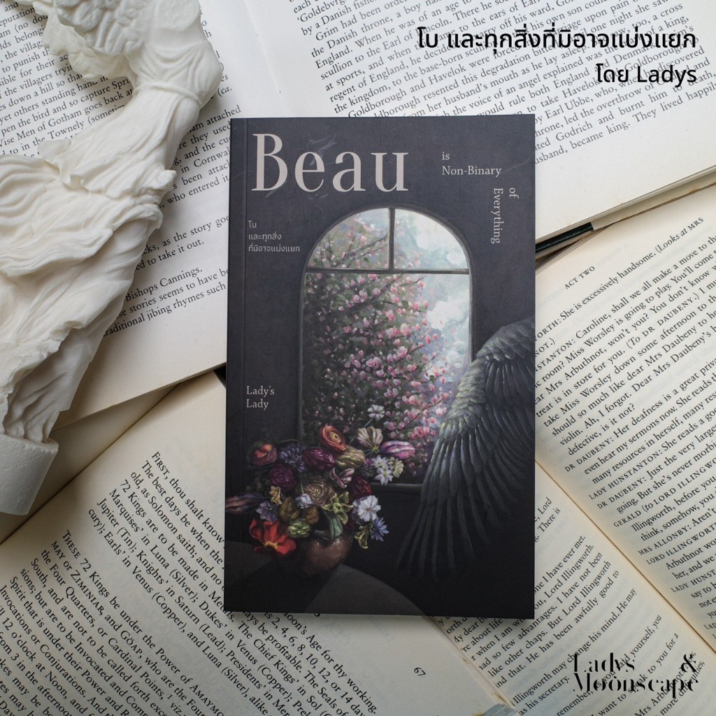 หนังสือ โบ และทุกสิ่งที่มิอาจแบ่งแยก (Beau is Non-Binary of Everything) โดยลาดิด