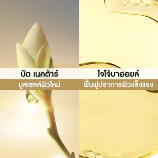 อีฟ โรเช Yves Rocher Anti-age Global The Bi-phased Recovery Concentrate 30ml ไบเฟส ไนท์เซรั่ม ซ่อมผิวอิ่มฟูข้ามคืน