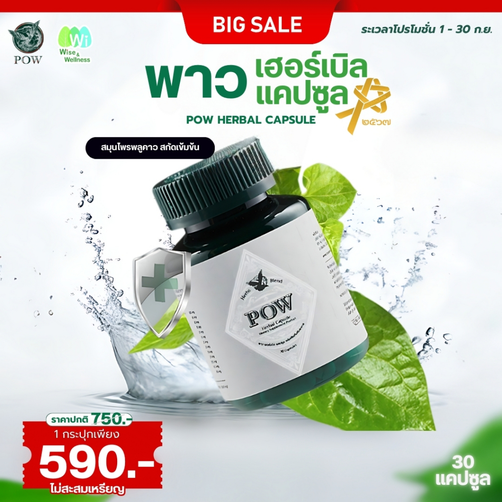 [1 กระปุก ส่งฟรี] พาวเฮอร์เบิลแคปซูล สมุนไพรพลูคาว (Pow Herbal Capsule)