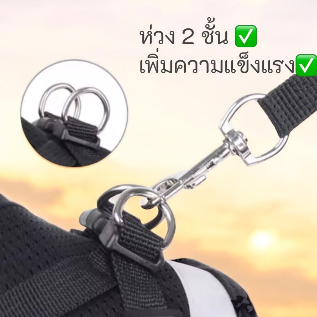เสื้อตาข่ายสายจูงรัดอกสัตว์เลี้ยง หมาแมว 4 สี 4 ขนาด ปรับขนาดได้ สำหรับสัตว์เลี้ยงขนาดเล็ก - รูปที่ 2