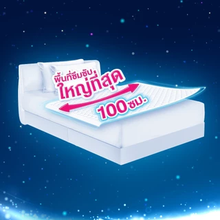 [ยกลัง] Certainty Bed Sheet เซอร์เทนตี้ แผ่นรองซับ JP XXL 17ชิ้น*6ถุง