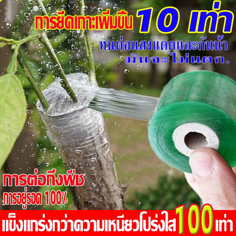 แข็งแกร่งกว่าความเหนียวโปร่งใส 100 เท่า เทปพันกิ่ง เทปพันกิ่งทาบ ผ้าเทปพันกิ่ง เทปพันกิ่งเสียบยอด พลาสติกทาบกิ่ง