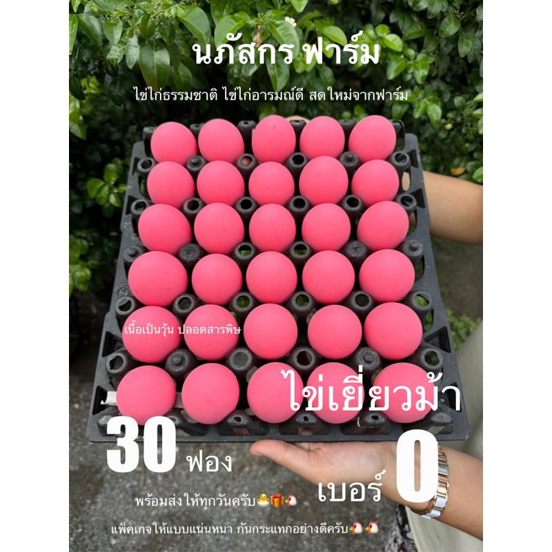 ไข่เยี่ยวม้า เนื้อเป็นวุ้น เป็นน้ำปลอดสารพิษ 30 ฟอง