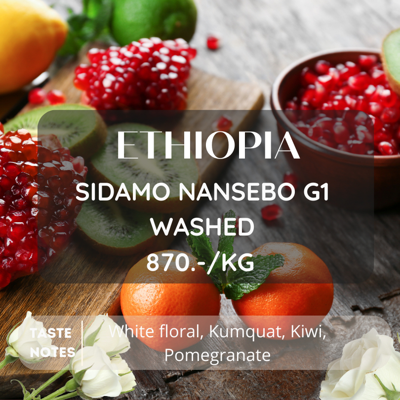 สารกาแฟ Ethiopia Sidamo Nansebo G1 washed 2024