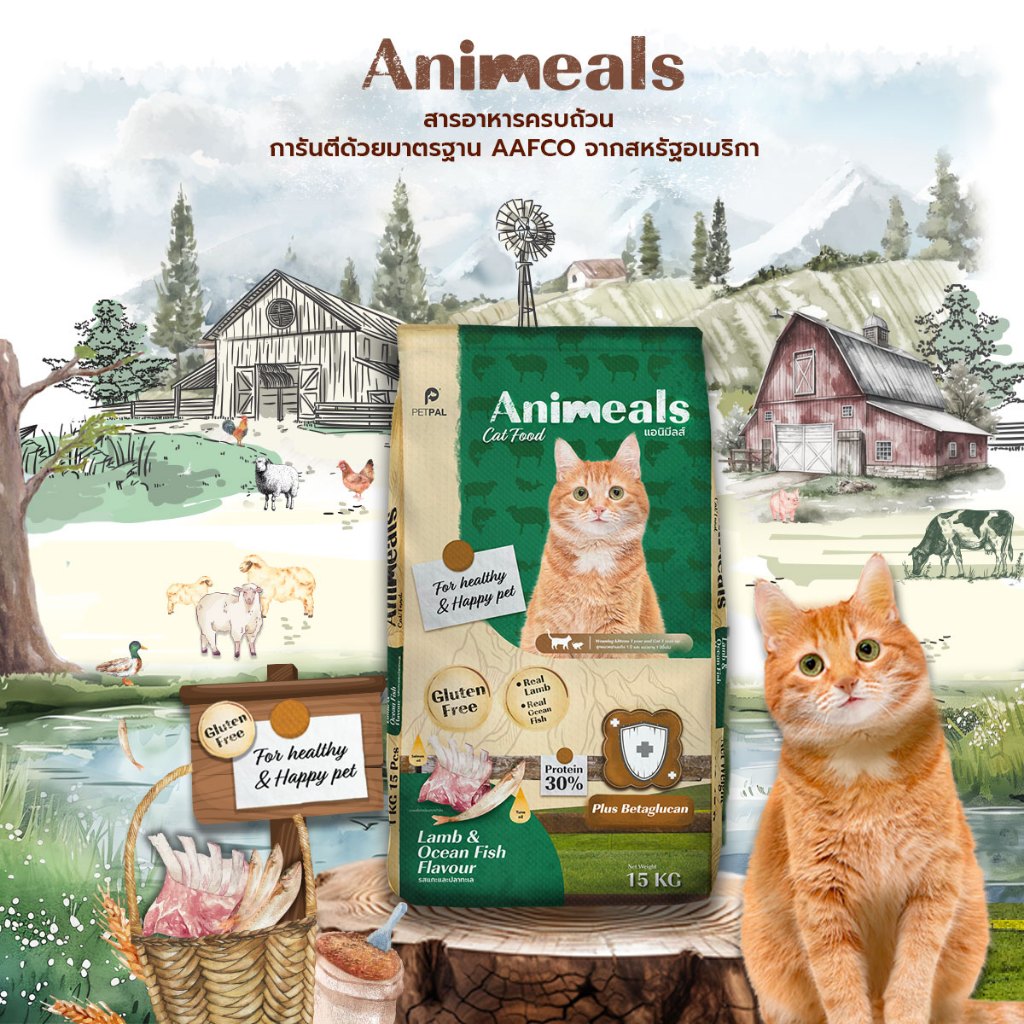 Animeals แอนิมีลส์ อาหารลูกแมวและแมวโต สูตรแกะและปลาทะเล 15 KG.