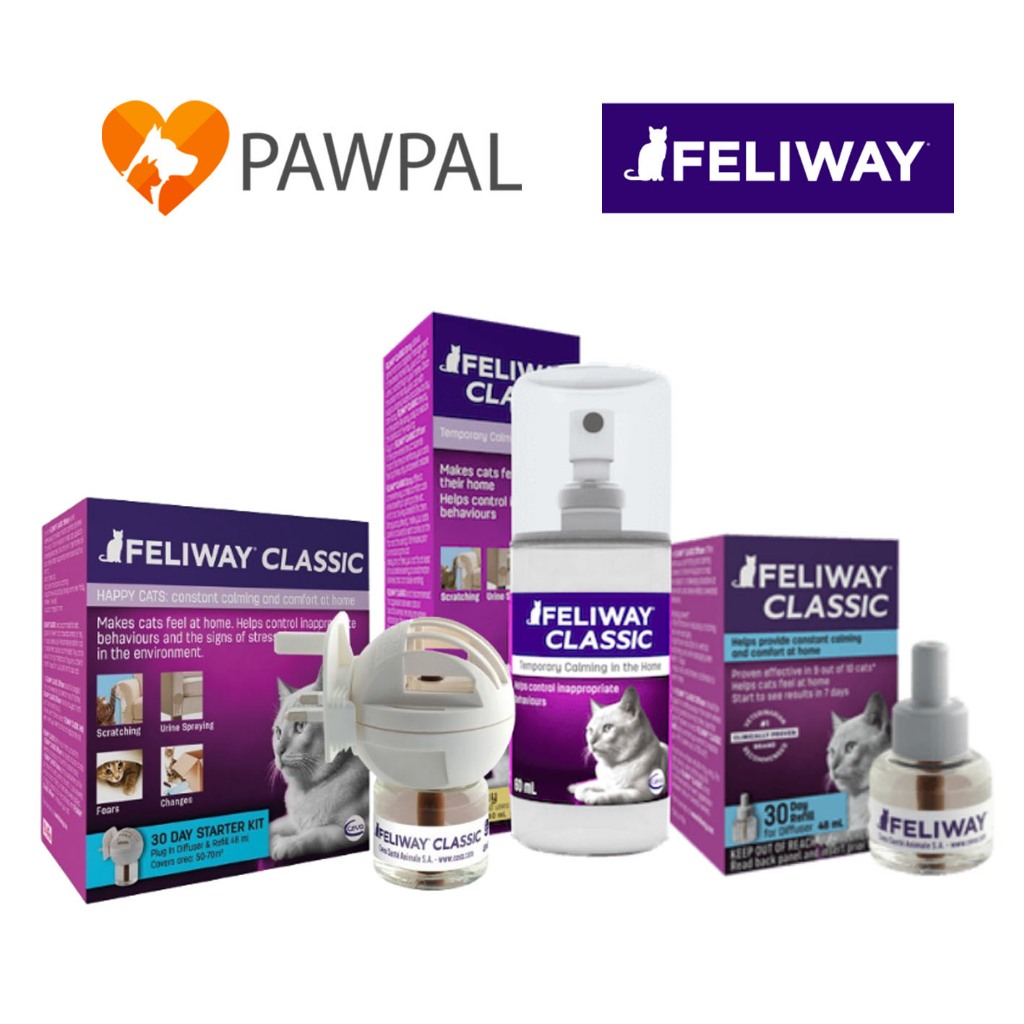 Feliway Spray Exp.2027 Refill Plug in สเปรย์ เฟลิเวย์ ฟีโรโมนสังเคราะห์ แมว ลดความเครียด ลดความก้าวร้าว