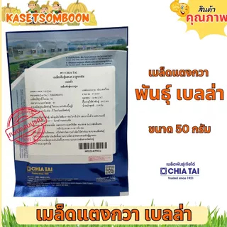แตงกวาเบลล่า เมล็ดพันธุ์แตงกวา 50 ก. ตราเจียไต๋ ผสสีเขียว ยาว 12 ซม.​